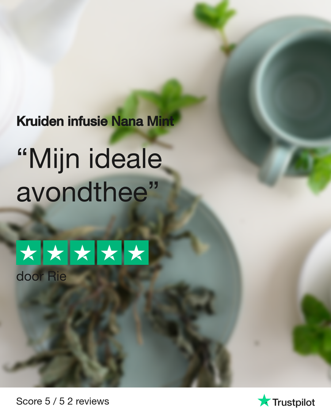 Kruiden infusie Nana Mint