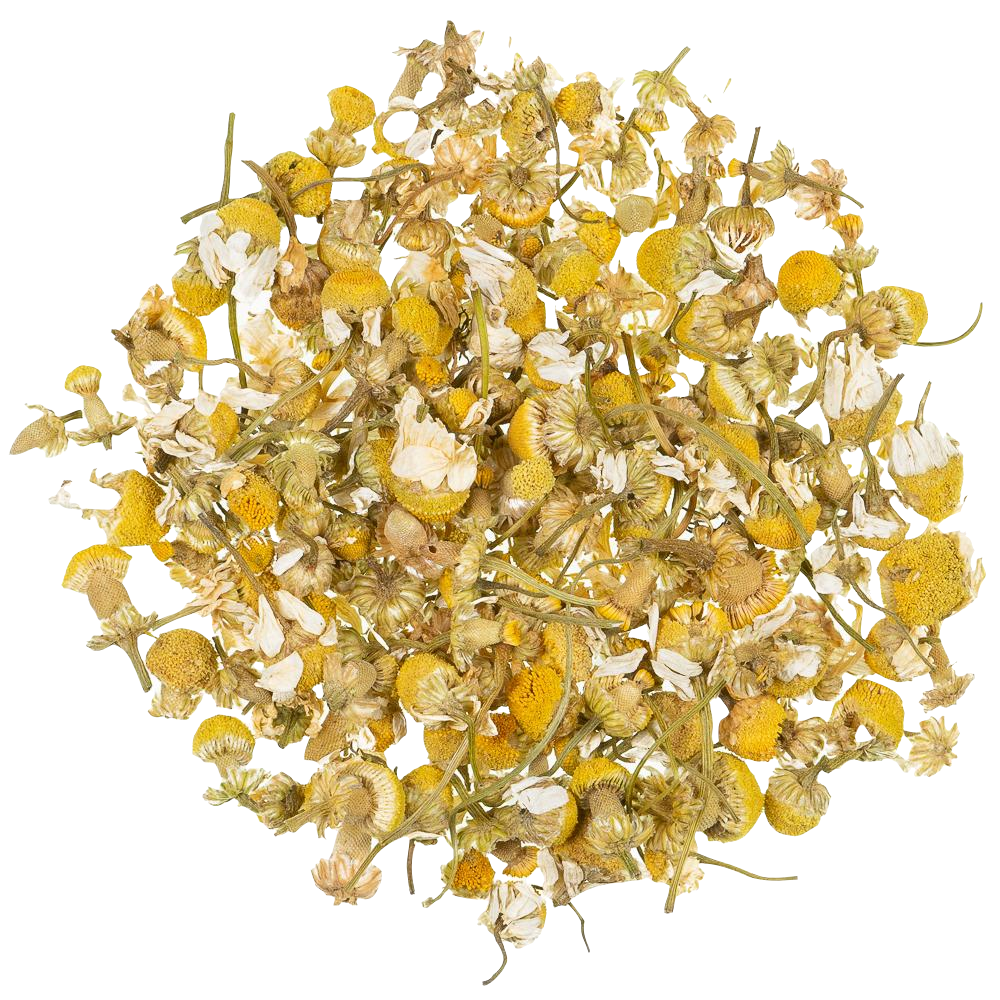 Kruiden infusie Camomile Blossoms